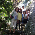 Classic Lemon tour <span>3pm</span> - Image 2