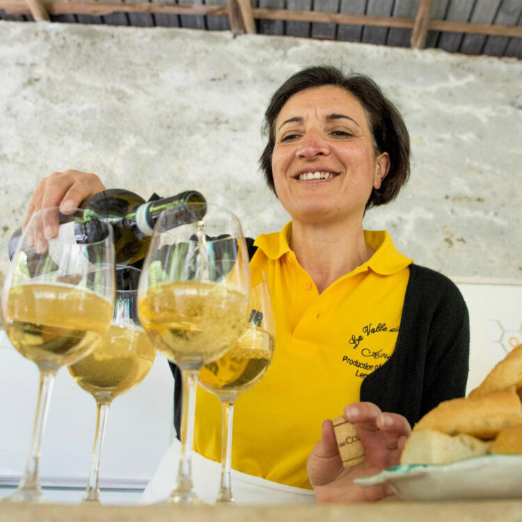 Lemon Tour + Wine Tasting + Lunch