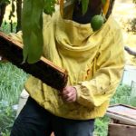 Honey Lemon Experience & Tour <span>11:00</span> - immagine 2