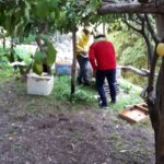 Honey Lemon Experience & Tour <span>11:00</span> - immagine 4