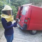 Honey Lemon Experience & Tour <span>11:00</span> - immagine 10