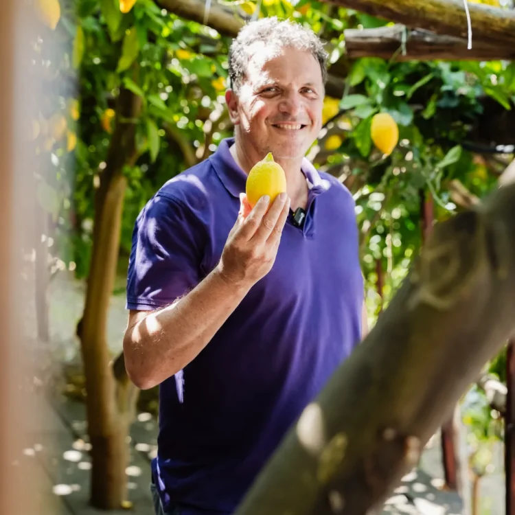 Private Lemon Tour