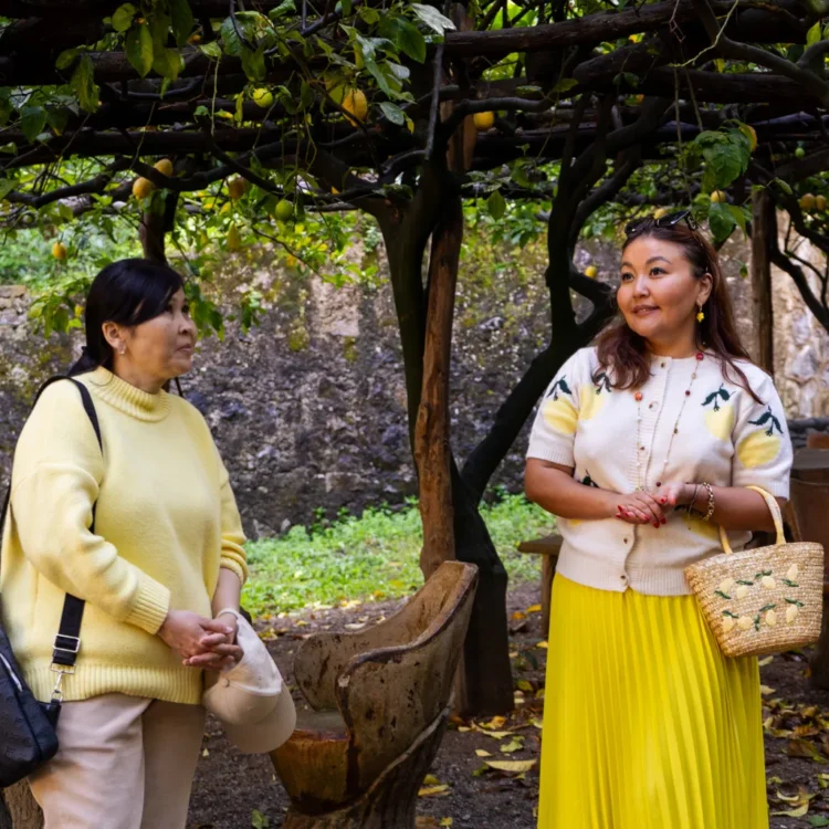Private Lemon Tour + Lunch