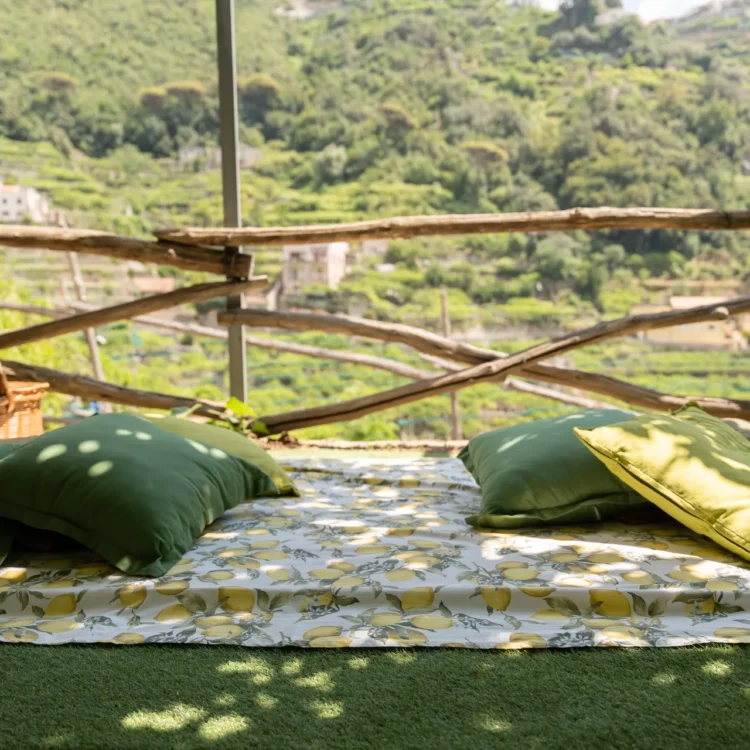 Private Lemon Tour + Picnic