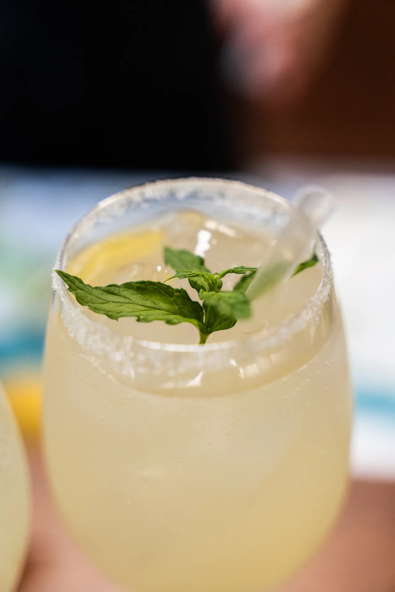 Private Lemon Tour + Limoncello Class - Image 12
